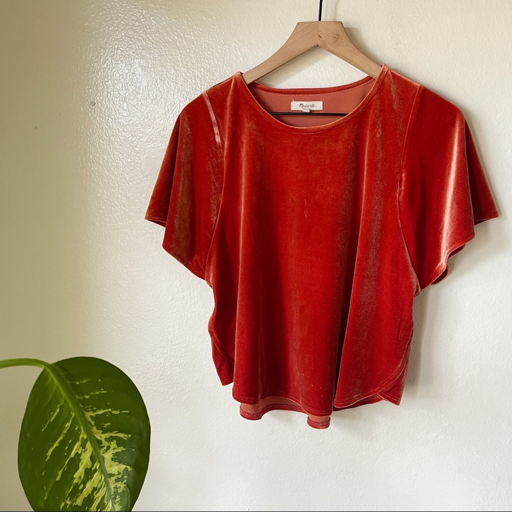Madewell | Velvet Butterfly Top